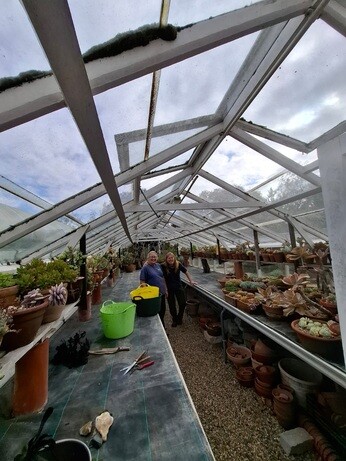 Weekly catch up with garden and propagation Weekly catch up with garden and propagation