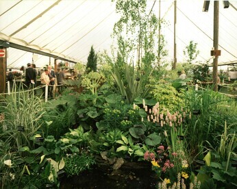 The Chelsea Flower Show and Beth's Legacy The Chelsea Flower Show and Beth's Legacy
