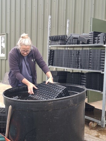 Weekly catchup with garden and propagation Weekly catchup with garden and propagation