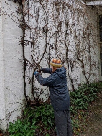 Weekly catch up with garden & propagation Weekly catch up with garden & propagation