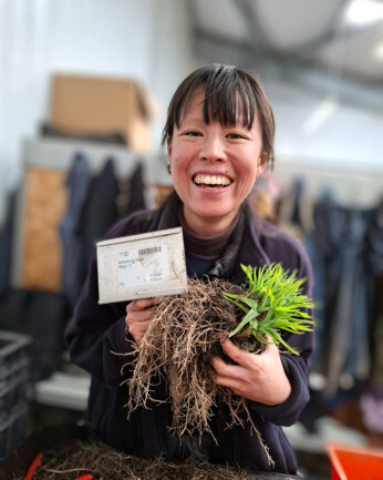 Weekly catch up with gardens & propagation Weekly catch up with gardens & propagation