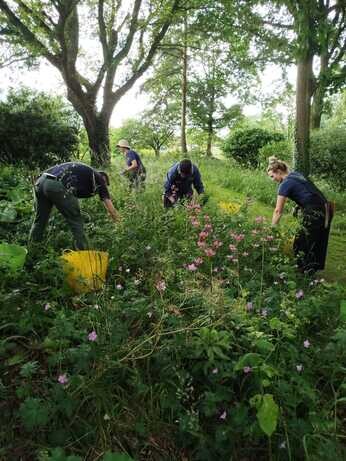 A look back at 2024 with the garden team A look back at 2024 with the garden team
