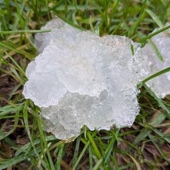 Wild Words from the Ground - December/January Wild Words from the Ground - December/January
