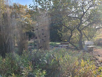 Adapting to Drought- what we have learnt Adapting to Drought- what we have learnt