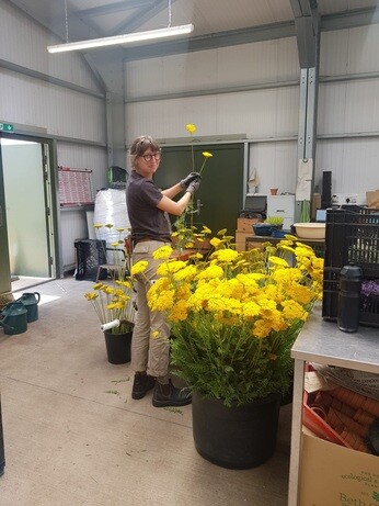 Weekly catch up with garden & propagation Weekly catch up with garden & propagation