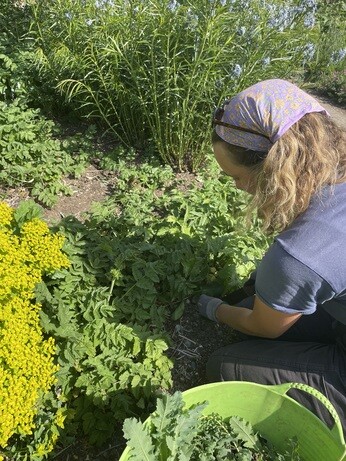 A look back at 2025 with the garden team A look back at 2025 with the garden team