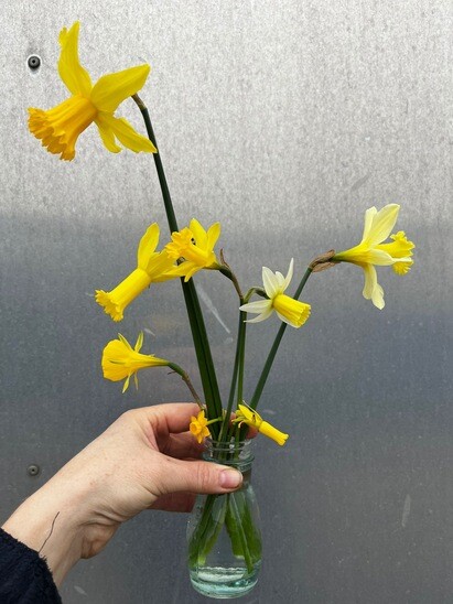 Weekly catch up with garden & propagation Weekly catch up with garden & propagation
