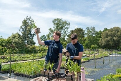 Plants from Beth's Garden to yours! Plants from Beth's Garden to yours!