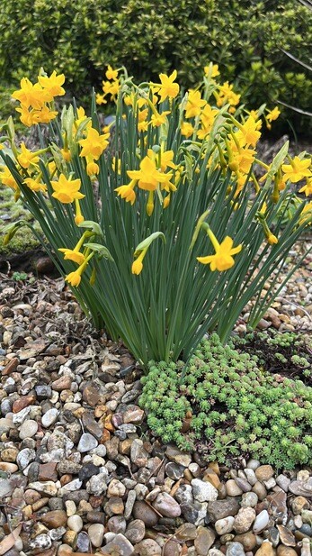 Weekly catch up with garden & propagation Weekly catch up with garden & propagation