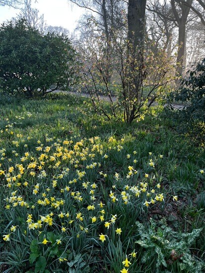 Weekly catch up with garden & propagation Weekly catch up with garden & propagation