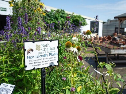 Plants from Beth's Garden to yours! Plants from Beth's Garden to yours!