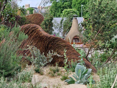 Growing for RHS Chelsea Flower Show Growing for RHS Chelsea Flower Show