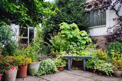 This week with the garden team- late May This week with the garden team- late May