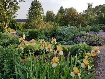 Plant combination ideas in May Plant combination ideas in May