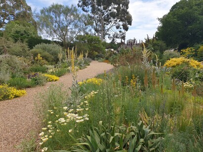 Plant combination ideas in May Plant combination ideas in May