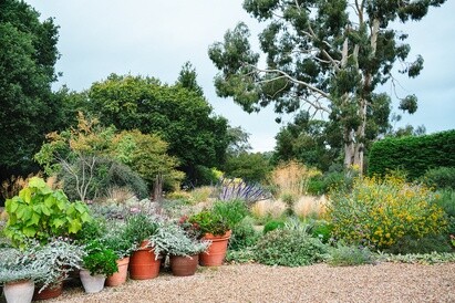 This week with the garden team- late May This week with the garden team- late May
