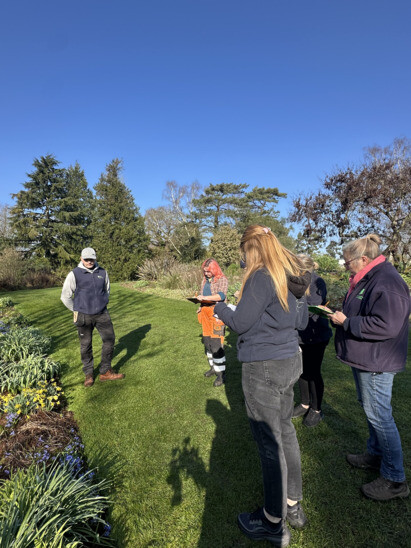 Weekly catch up with garden & propagation Weekly catch up with garden & propagation