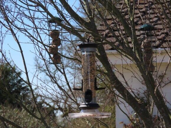 Feeding the birds at the Beth Chatto Gardens Feeding the birds at the Beth Chatto Gardens