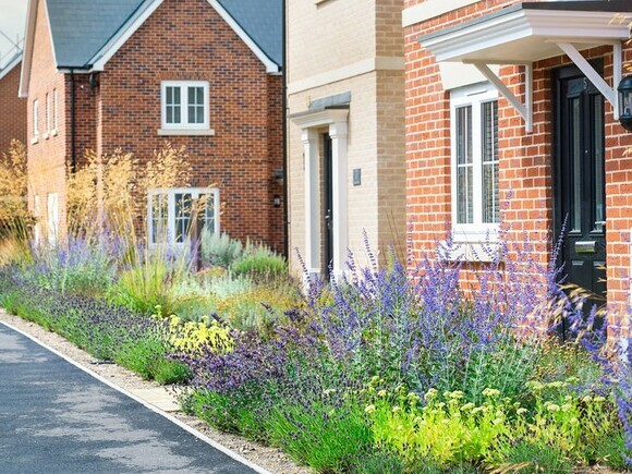 Planting at Chattowood Housing Development Planting at Chattowood Housing Development