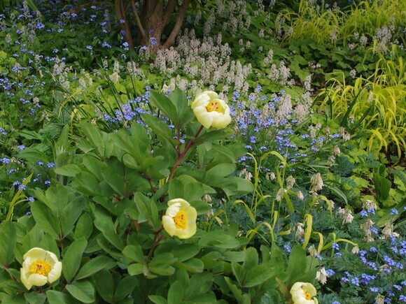 Garden Tales – Stories of Spring Garden Tales – Stories of Spring