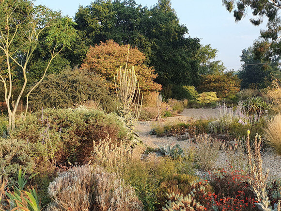 Gravel Garden Creation and Maintenance Gravel Garden Creation and Maintenance