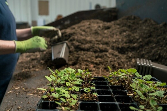 Our Peat Free Journey Our Peat Free Journey