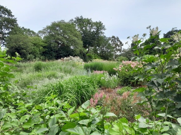 Weekly catch up with garden & propagation Weekly catch up with garden & propagation