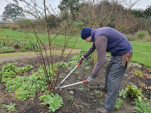 Our favourite garden tools Our favourite garden tools
