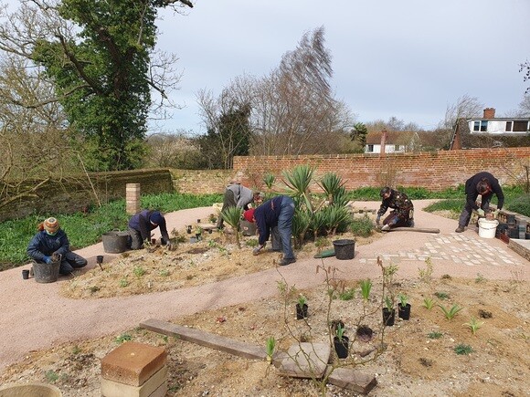 Weekly catch up with garden & propagation Weekly catch up with garden & propagation
