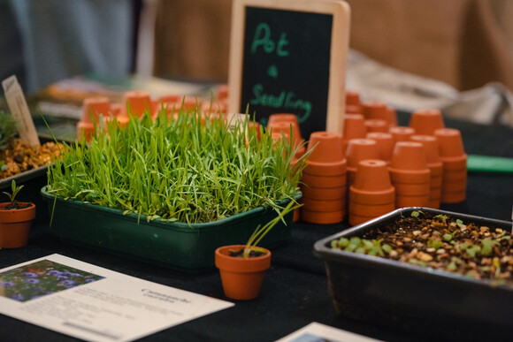 RHS Urban Show 2024 RHS Urban Show 2024