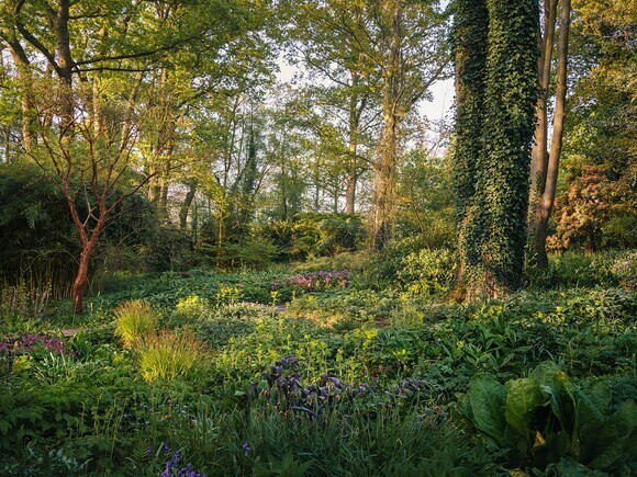 Weekly catch up with gardens & propagation Weekly catch up with gardens & propagation