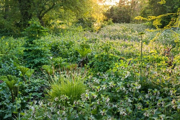 Autumn Planting: helping gardeners adapt to a changing climate Autumn Planting: helping gardeners adapt to a changing climate