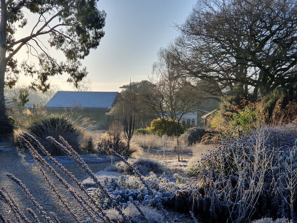 Jack Frost – horticulture’s friend and foe Jack Frost – horticulture’s friend and foe