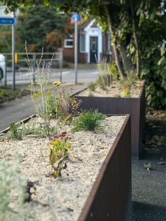Planting on the Albert roundabout Planting on the Albert roundabout