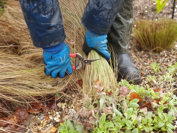 Our favourite garden tools Our favourite garden tools