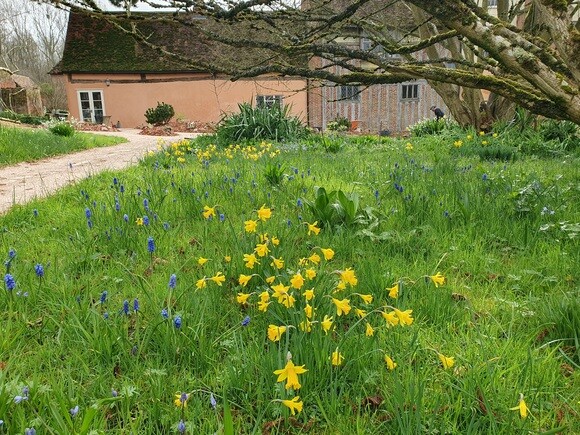 Garden connections – planting at Benton End Garden connections – planting at Benton End