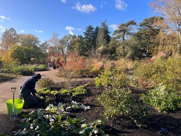 Planting in autumn Planting in autumn