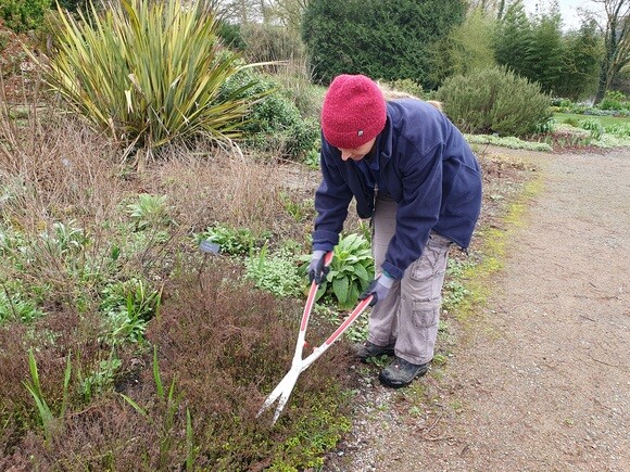 Our favourite garden tools Our favourite garden tools