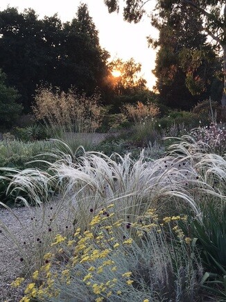 Gravel Garden Creation and Maintenance Gravel Garden Creation and Maintenance