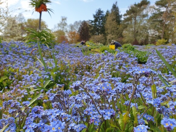 Garden Tales – Stories of Spring Garden Tales – Stories of Spring