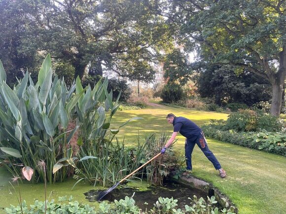 Autumn jobs in the garden Autumn jobs in the garden