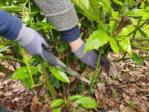 Our favourite garden tools Our favourite garden tools