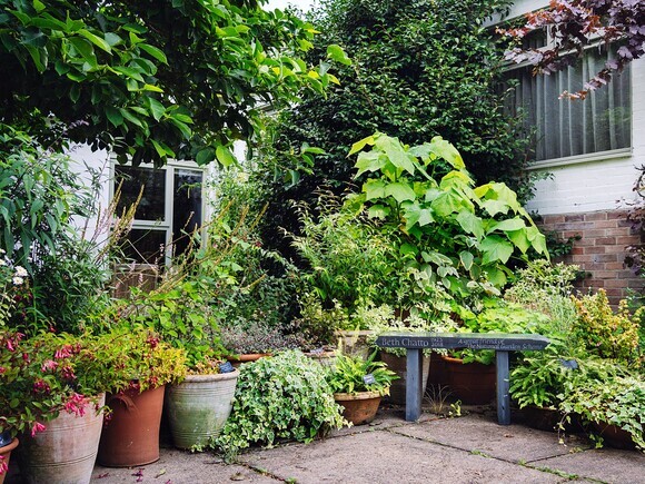 Container gardening Container gardening