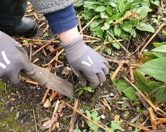 Our favourite garden tools Our favourite garden tools