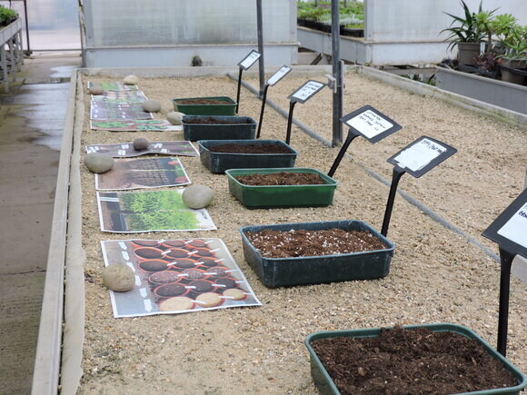 Our Peat Free Journey Our Peat Free Journey