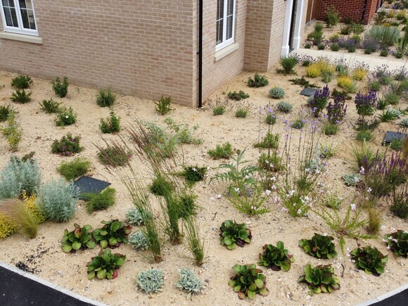 Planting at Chattowood Housing Development Planting at Chattowood Housing Development