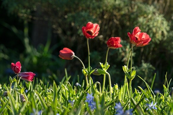Wild Words from the Ground – February & March Wild Words from the Ground – February & March