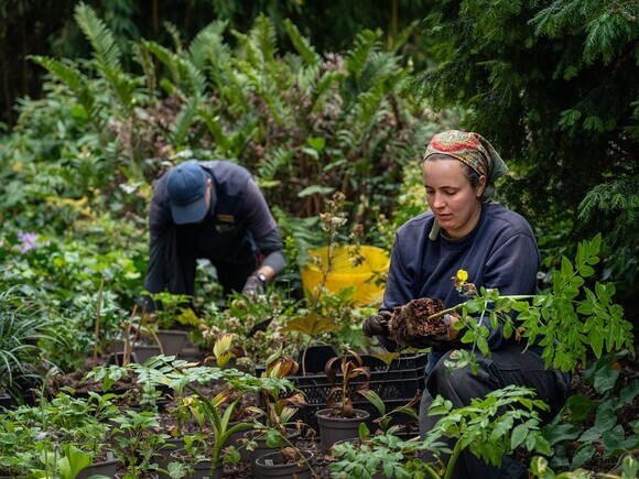 Autumn Planting: helping gardeners adapt to a changing climate Autumn Planting: helping gardeners adapt to a changing climate