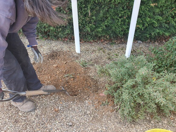 Gravel Garden Creation and Maintenance Gravel Garden Creation and Maintenance