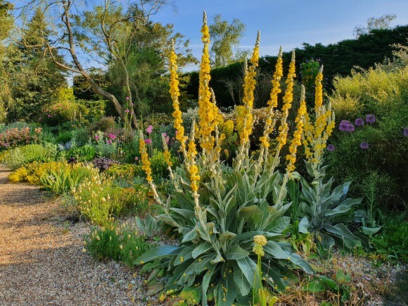 Gravel Garden Creation and Maintenance Gravel Garden Creation and Maintenance